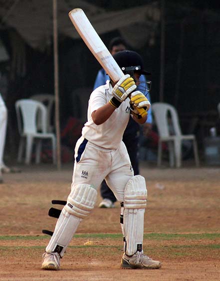 cricket-about-6