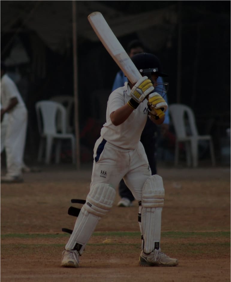 cricket-portfoli-3