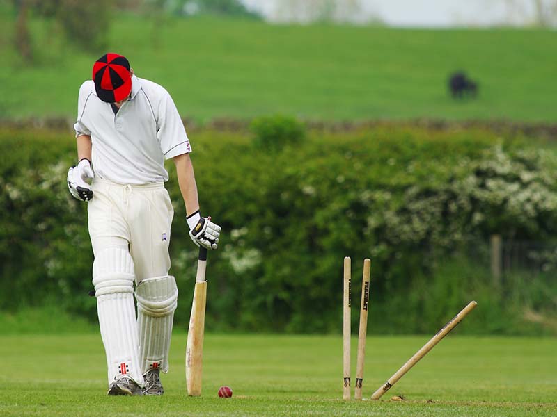 cricket-ser-1