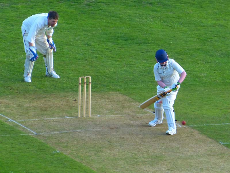 cricket-ser-5
