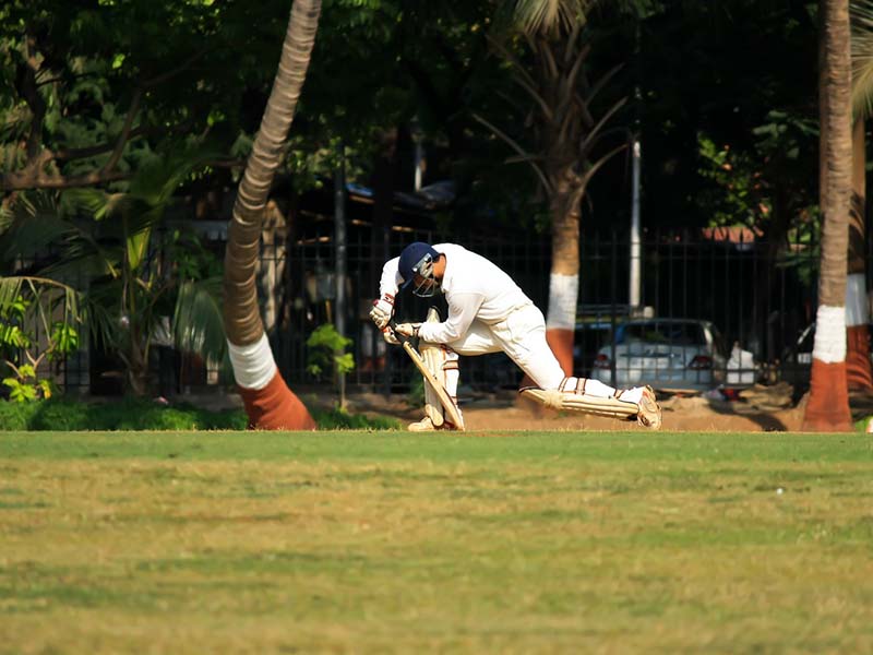 cricket-ser-6